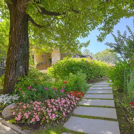 Il Nel Bosco Villa *